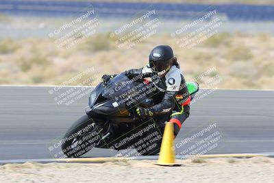 media/Apr-08-2023-SoCal Trackdays (Sat) [[63c9e46bba]]/Turn 11 Inside Pans (1015am)/